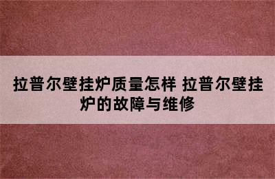 拉普尔壁挂炉质量怎样 拉普尔壁挂炉的故障与维修